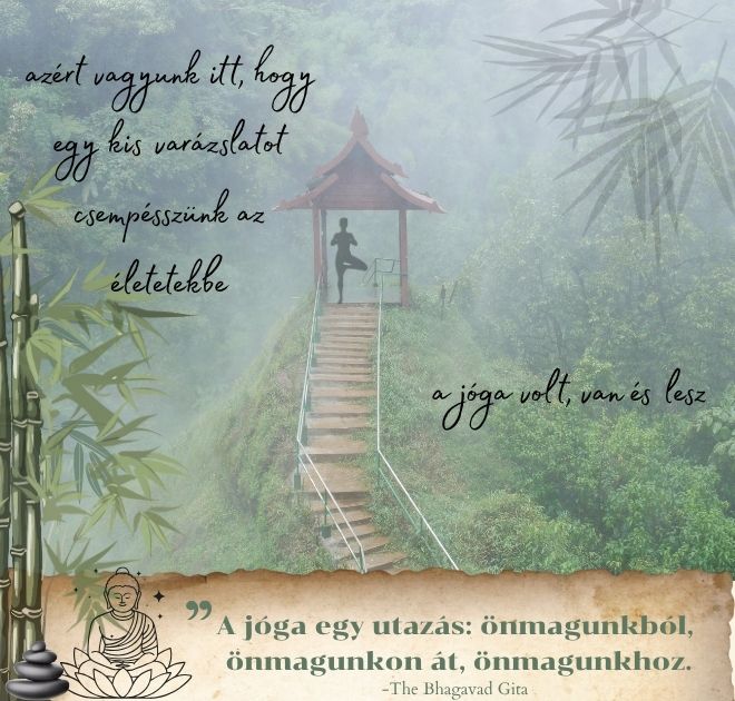 Jóga kezdőlap