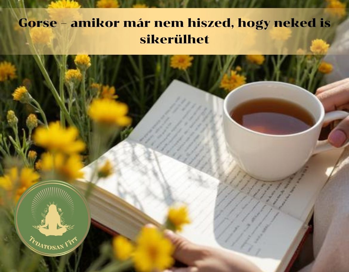 🌸Gorse – amikor már nem hiszed, hogy neked is sikerülhet